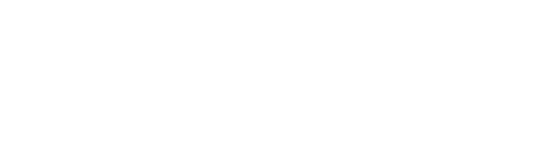 Partner Logo 1